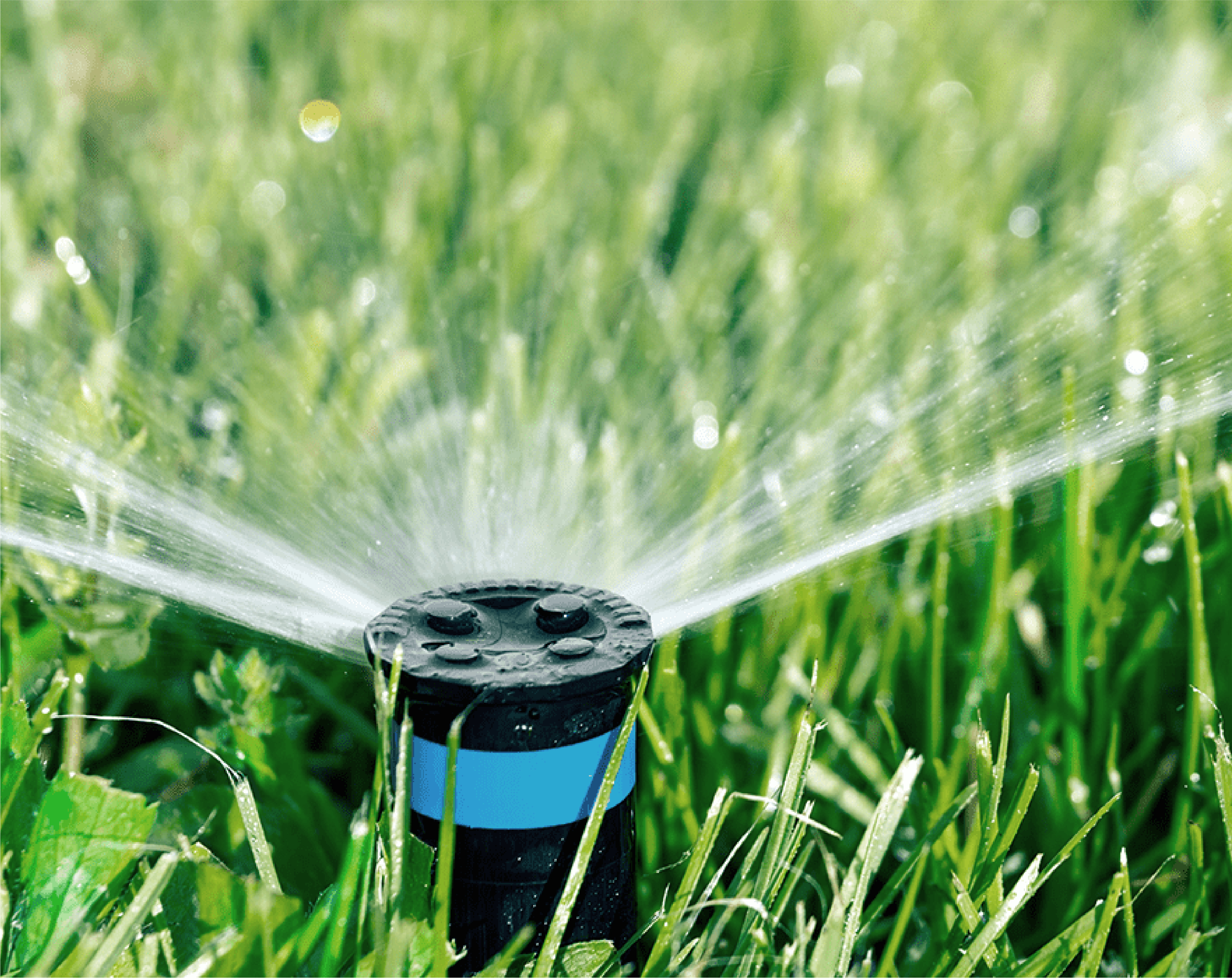 Sprinkler Nozzle Rebates from SoCal Water$mart
