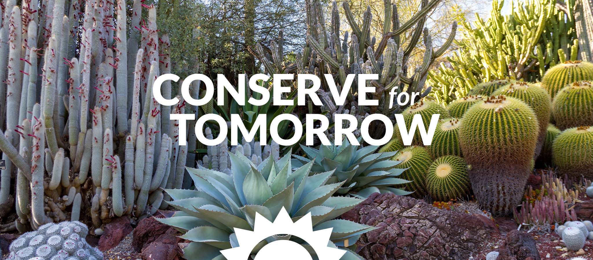 Conserve for tomorrow