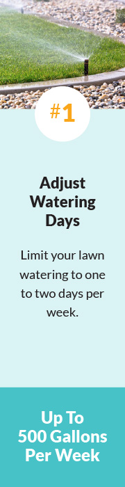 1 Adjust Watering  Days