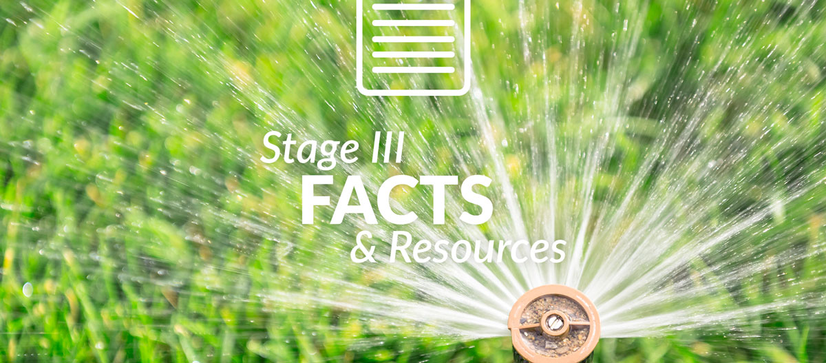 Stage 2 Facts and Resources